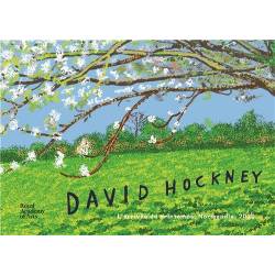 David Hockney : L'arrivee...
