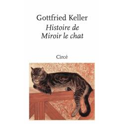 Histoire De Miroir Le Chat