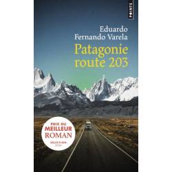 Patagonie Route 203