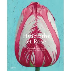 Hyacinthe Et Rose