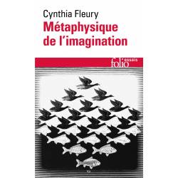 Metaphysique De L'imagination