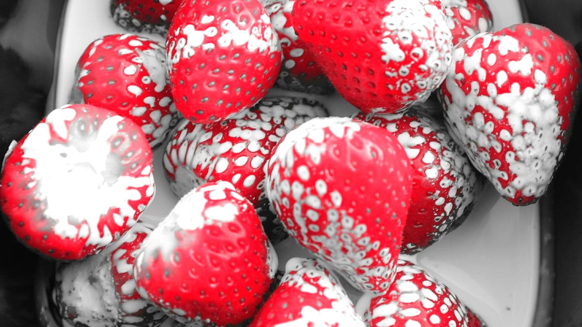Vos fraises seront plus sucrées avec cette astuce méconnue à faire dès les premières fleurs