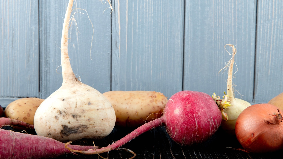 Navets, betteraves, carottes : comment doubler votre récolte avec ce vieux truc paysan