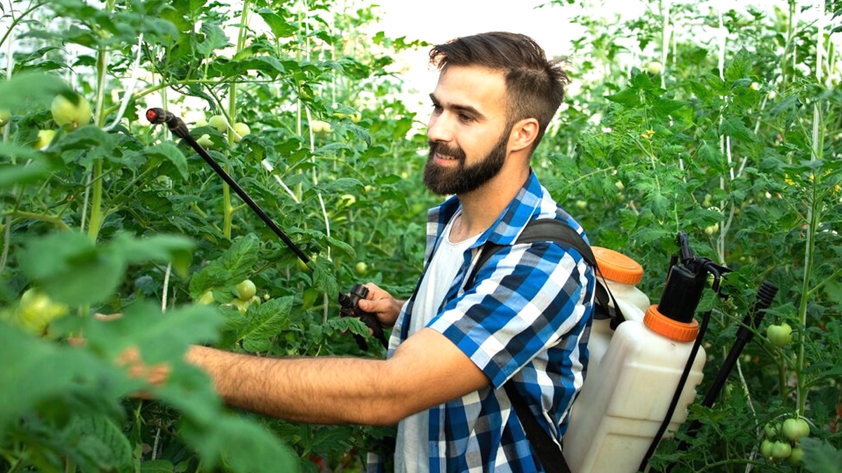 Le gouvernement lance un sérieux avertissement à toutes les personnes qui ont acheté ces infusions en grandes surfaces : elles ont été rappelées à cause de la présence de pesticides