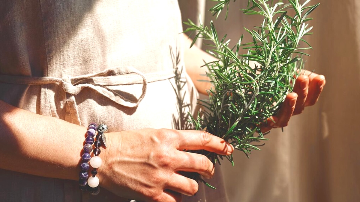 Comment faire fleurir le romarin pour embaumer toute la maison ?
