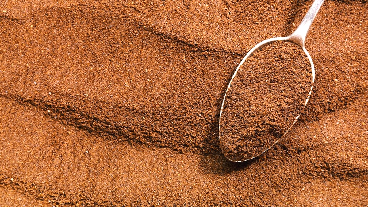 Gardez toujours votre marc de café, voici les plantes qui le réclament