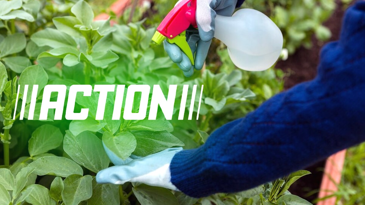 Action : vendu pour moins de 3 €, ce remplaçant du glyphosate séduit les jardiniers écolos « c’est bio, efficace, pas cher… pourquoi s’en priver depuis tout ce temps »