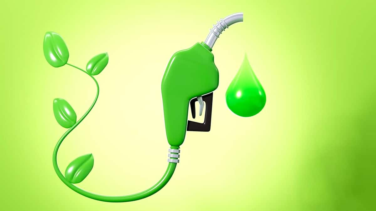 Une expérimentation de carburant 100 % végétal va démarrer dans trois départements dès le 1er juillet