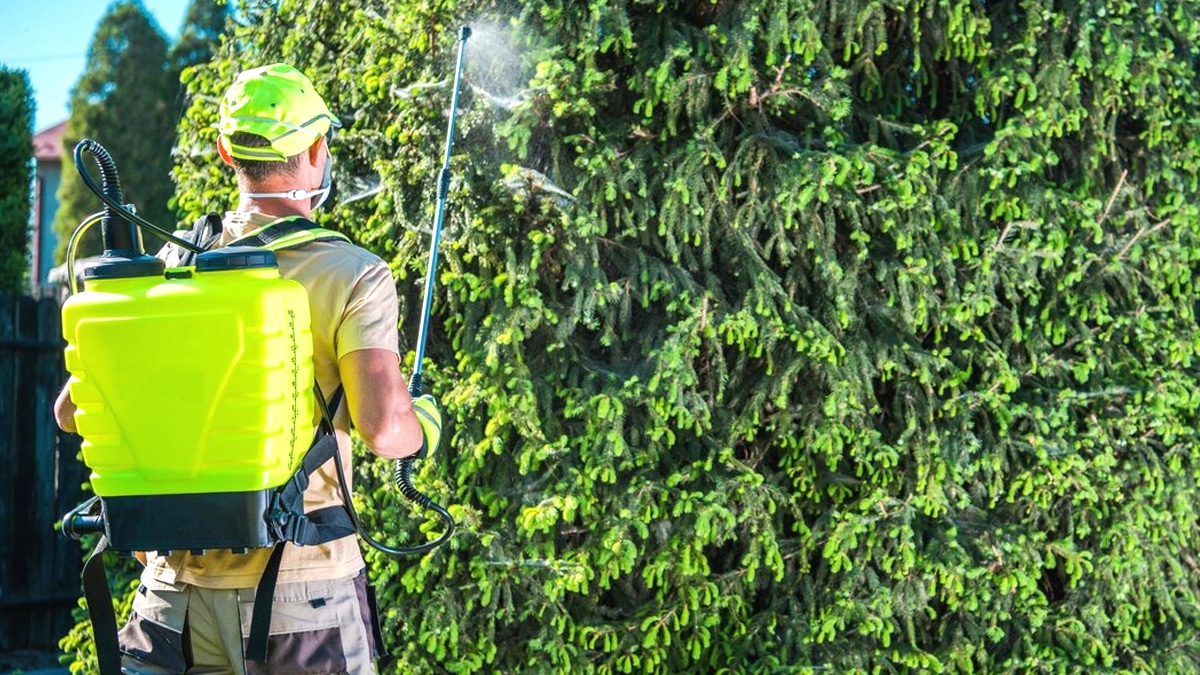 “Le feu c’est dangereux mais efficace” : un décret autorise le désherbage thermique en zone urbaine… à condition d’utiliser un modèle homologué