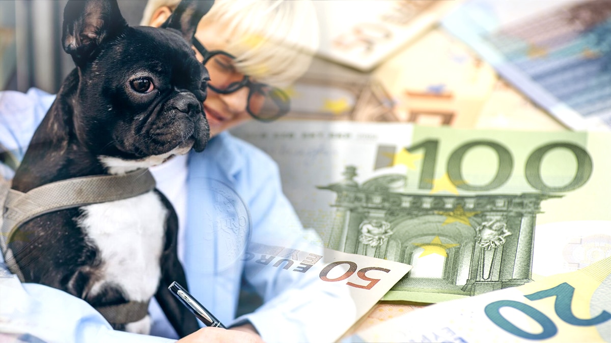 7 foyers sur 10 ne savent pas que cette nouvelle taxe animale est en test dans 18 villes