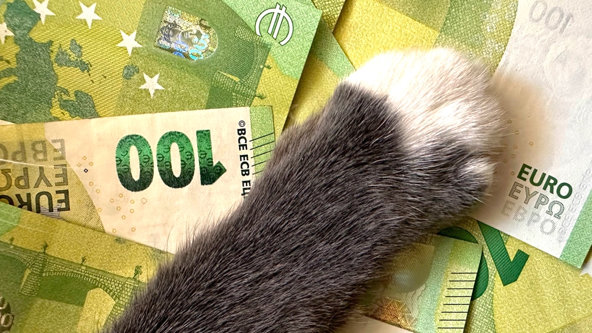 7 propriétaires sur 10 ignorent que les frais de garde d’animaux peuvent être déductibles sous condition