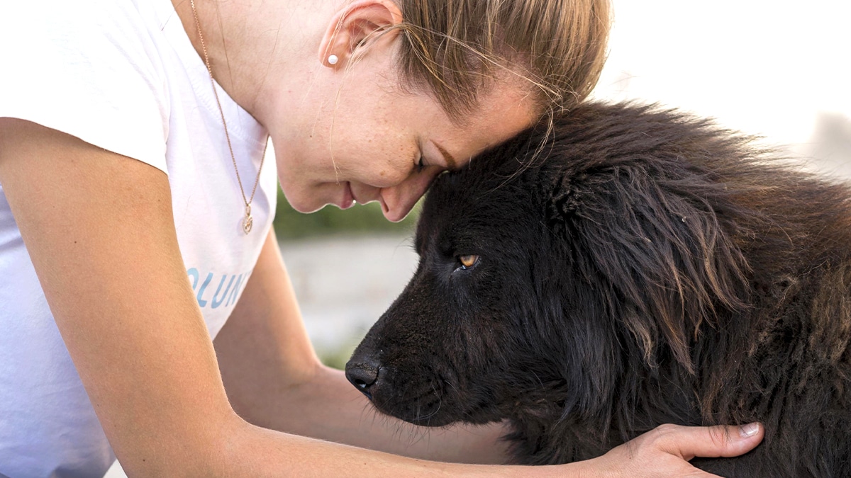 Cette aide pour frais de fin de vie animale monte à 150 € dans 29 communes
