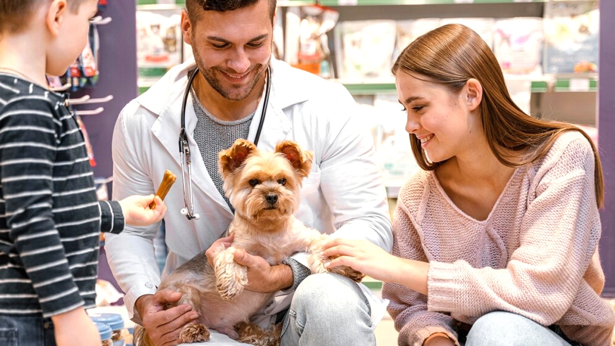 Dès le 1er juin 2025, toute vente d’un animal devra être accompagnée d’un certificat de stérilisation prévu