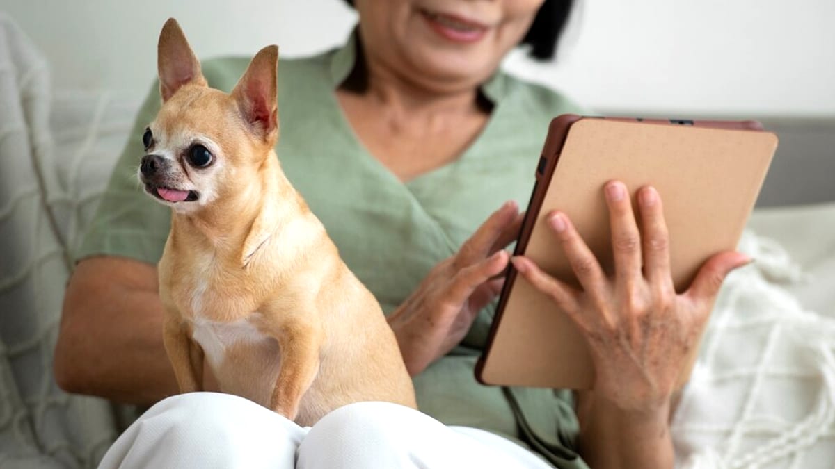 Cette appli permet de gérer carnet de santé, vaccins et rappels de votre animal gratuitement