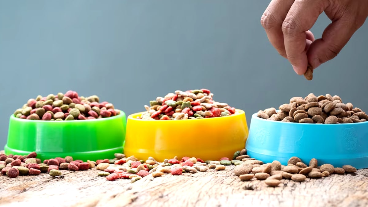 Cette nourriture sèche vendue chez plusieurs enseignes fait l’objet d’une alerte nutritionnelle