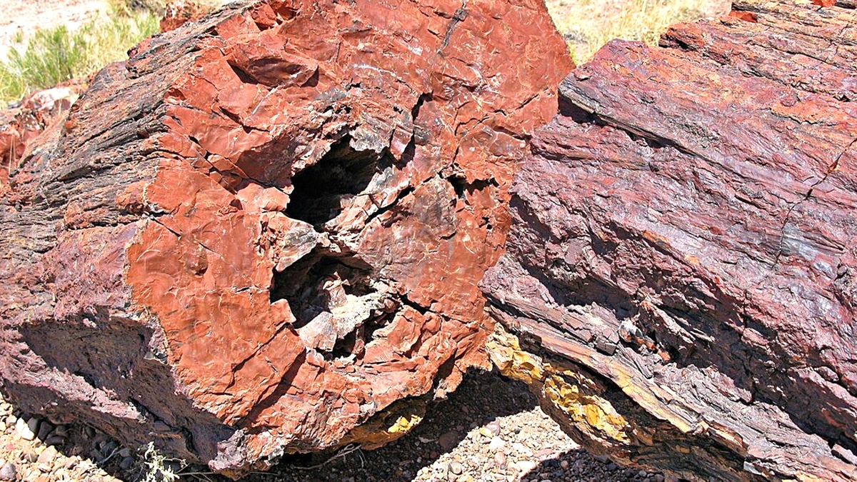 Cette faille géologique révélée par un simple trou de piquetage cache du cobalt brut