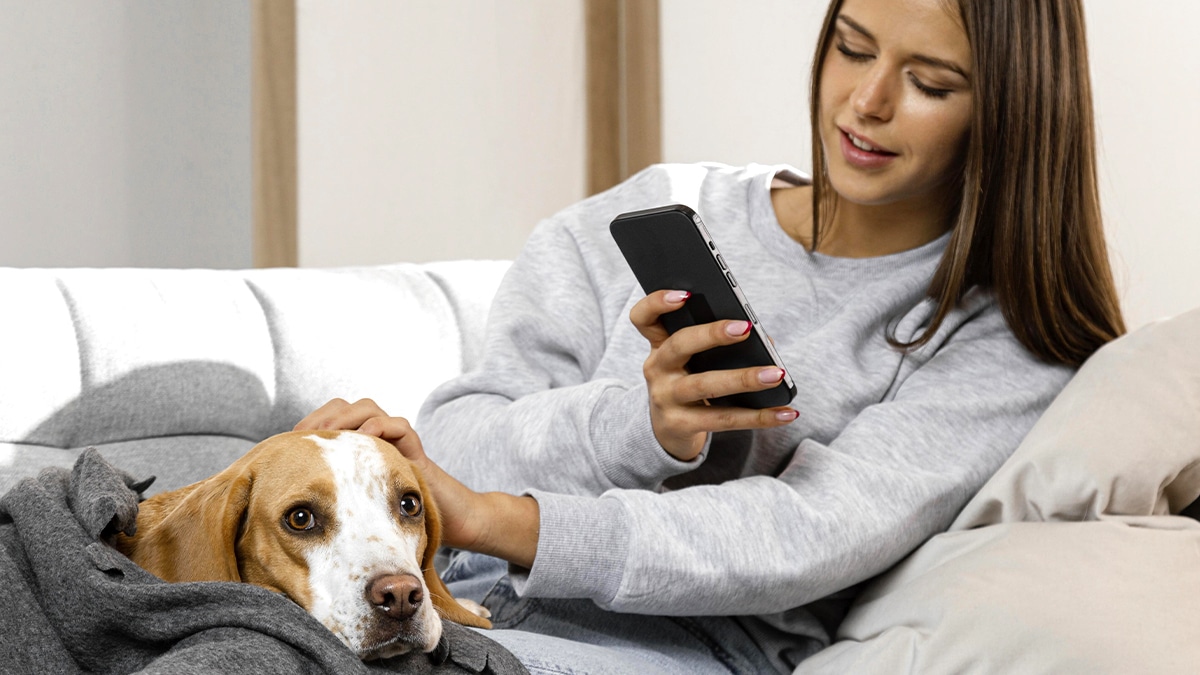 Cette appli gratuite alerte en cas de forte chaleur et donne les gestes à adopter pour protéger son animal