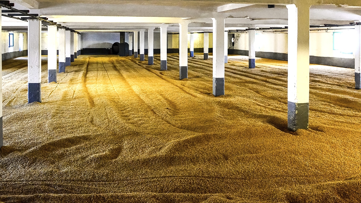 Ce chantier de parking public met à nu une dalle de phosphate brut