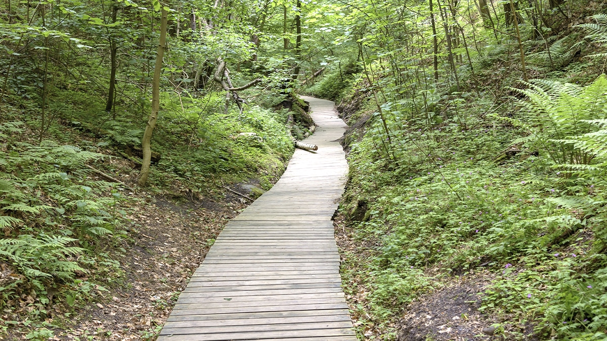 Ce sentier de randonnée classé Natura 2000 traverse un gisement potentiel de baryum