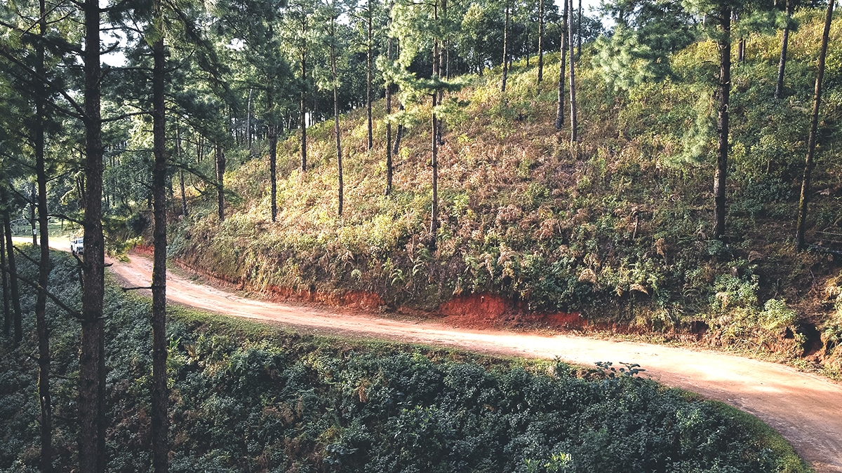Ce flanc de colline boisé recèle une strate de calcédoine bleutée selon une mission CNRS