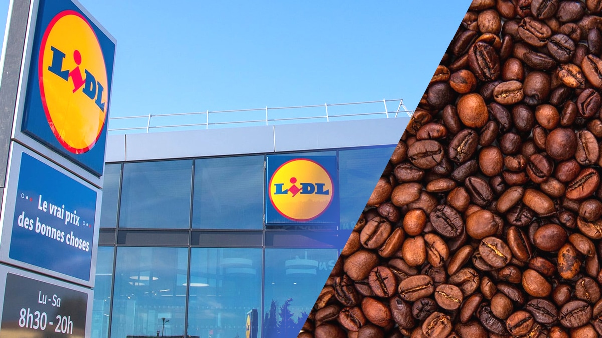 Ce café vendu massivement chez Lidl vient d’être classé parmi les meilleurs en supermarché selon UFC-Que Choisir : une vraie surprise à petit prix