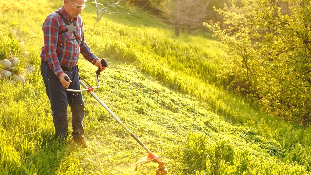 Jardinage : il ne faut surtout pas tondre sa pelouse en avril selon les experts, voici pourquoi ce geste peut nuire à la biodiversité et aux insectes utiles