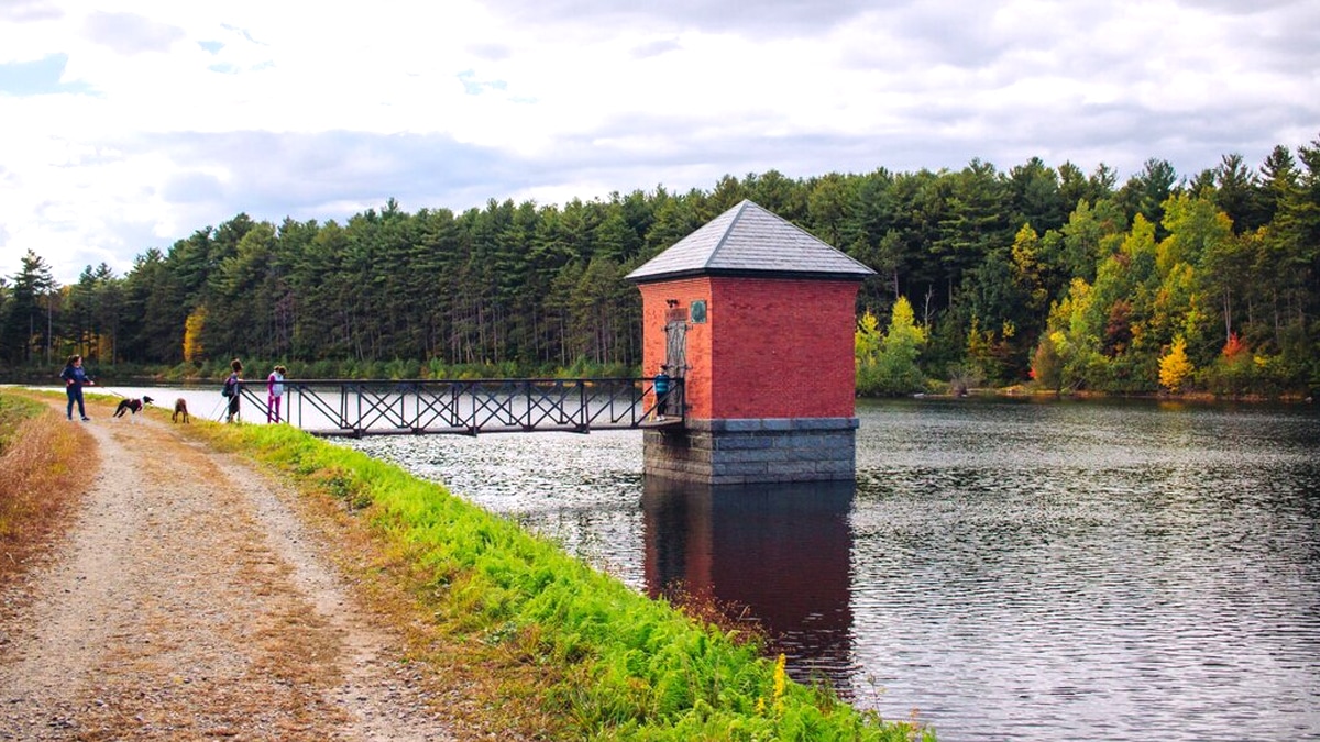 “Personne ne voulait y entrer” confie ce voisin en parlant d’un cabanon contenant une centrale hydraulique artisanale créée dans les années 60 avec un système de canalisation en cuivre