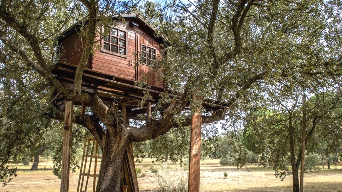 “Je croyais que c’était une cabane pour les enfants” s’amuse le voisin après avoir vu un abri de jardin rempli de batteries solaires datant de 1975 encore fonctionnelles