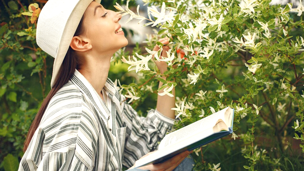 Un botaniste a mis au jour une plante médicinale oubliée capable de guérir plusieurs maladies