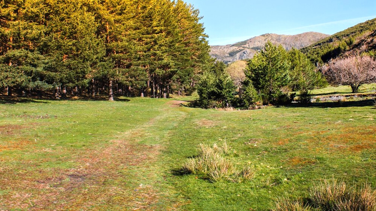 “C’était juste un hamac entre deux arbres” confie ce campeur après une verbalisation en terrain classé zone boisée protégée