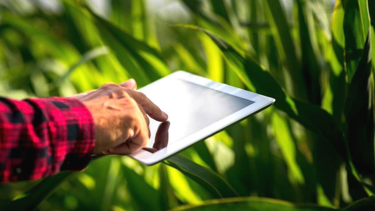 “j’avais pensé à activer une option sur mon contrat agricole” : ce retraité touche aujourd’hui plus que la majorité de ses anciens collègues