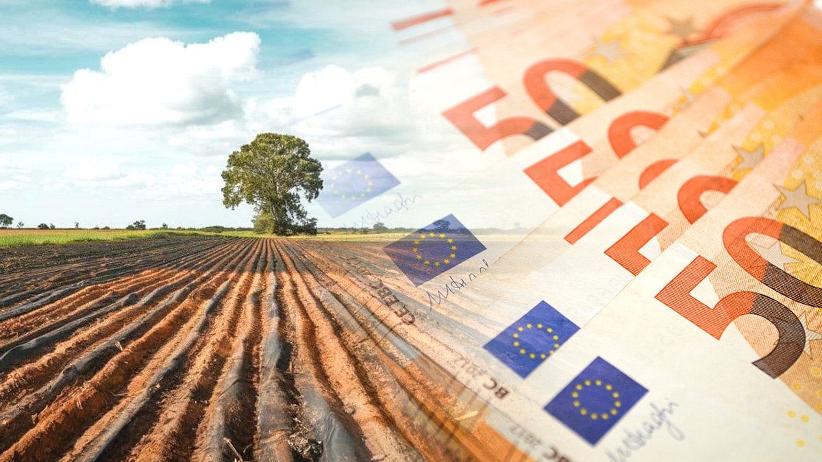 Un champ agricole cache une veine d’or gris d’une valeur estimée à 61 milliards d’euros : les négociations sont en cours pour le rachat par une entreprise étrangère
