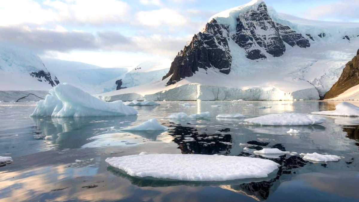 Une expédition en Antarctique a révélé des fossiles de créatures préhistoriques préservées dans la glace
