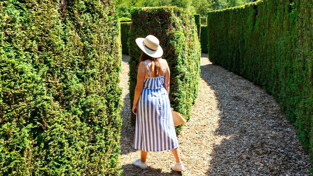 Ce jardin secret caché attire des aventuriers en quête de magie oubliée