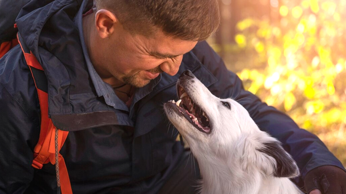 « Il n’avait plus confiance en personne, jusqu’à ce qu’un chien errant lui sauve la vie » un lien inattendu qui bouleverse tout et redonne un sens à l’existence de cet homme brisé