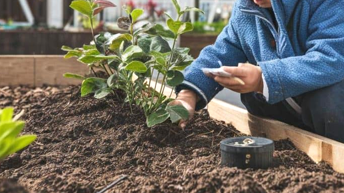 Un jeune garçon crée un jardin communautaire pour honorer la mémoire de sa grand-mère disparue