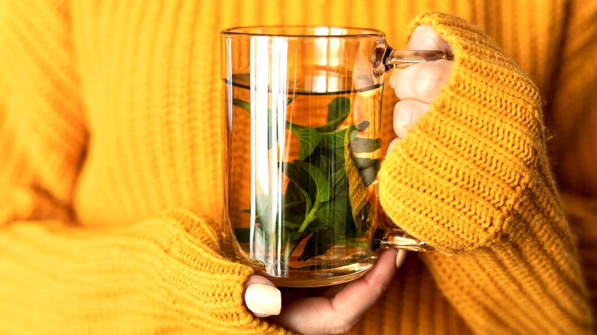 “J’ai bu ce mélange en pensant que c’était une tisane minceur” : c’était une décoction de plantes abortives “Je voulais juste me sentir plus légère”