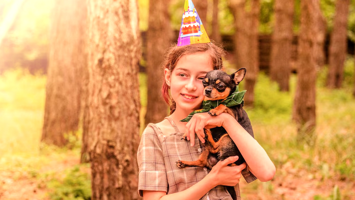 Cet animal sauvage s’invite dans une fête d’anniversaire et charme tous les invités