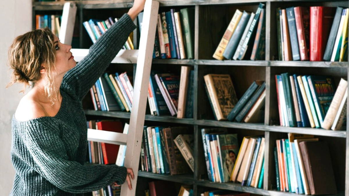 Une étagère pleine de livres oubliés provoque une chasse au trésor dans un quartier