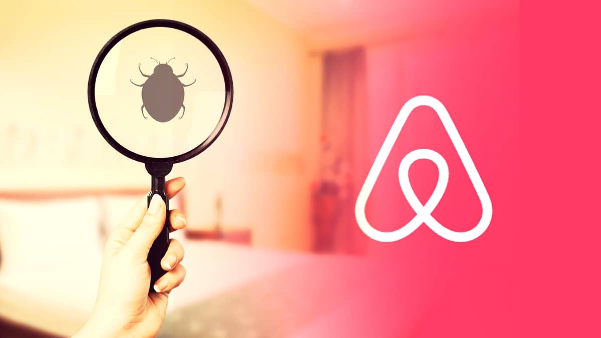 On ne veut plus louer » : les punaises de lit transforment les appartements Airbnb en cauchemars estivaux pour les touristes