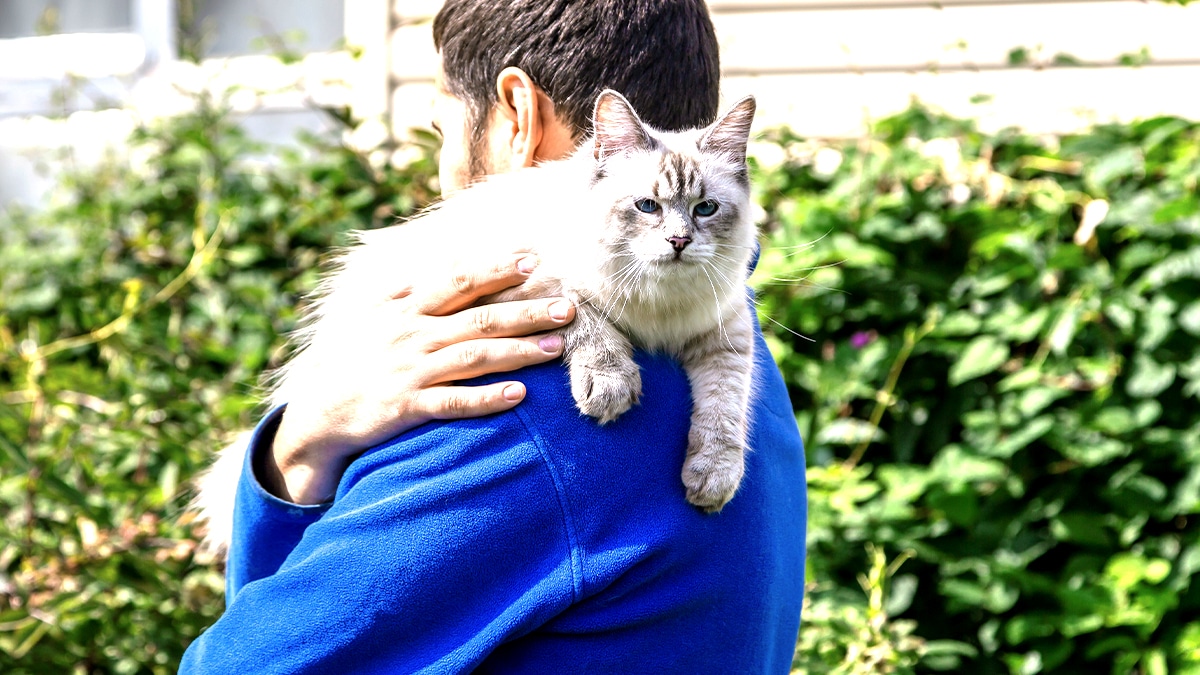 Elle abandonne son chat parce qu’il a griffé le canapé “je vais pas garder un animal qui me ruine la déco”