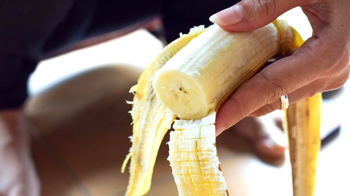 Pourquoi certains jardiniers enfouissent toujours des peaux de banane sous leurs rosiers “ça les booste en pleine floraison”