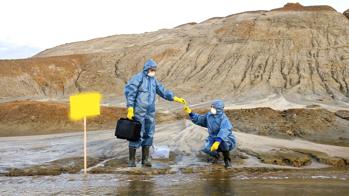 Un gisement de lithium découvert en pleine forêt communale “la mairie n’a toujours pas décidé du sort du terrain”