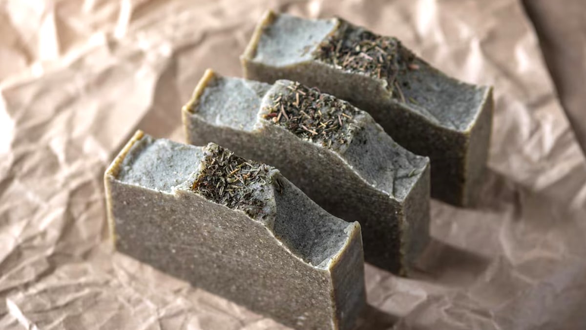 Cette vieille astuce au savon noir transmise par les anciens protège les plantes contre les pucerons sans nuire à la terre