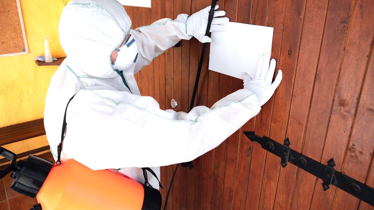 Le décret du 5 mai rend obligatoire un diagnostic termites pour toute vente d’un bien situé en zone infestée “même sans historique d’infestation”