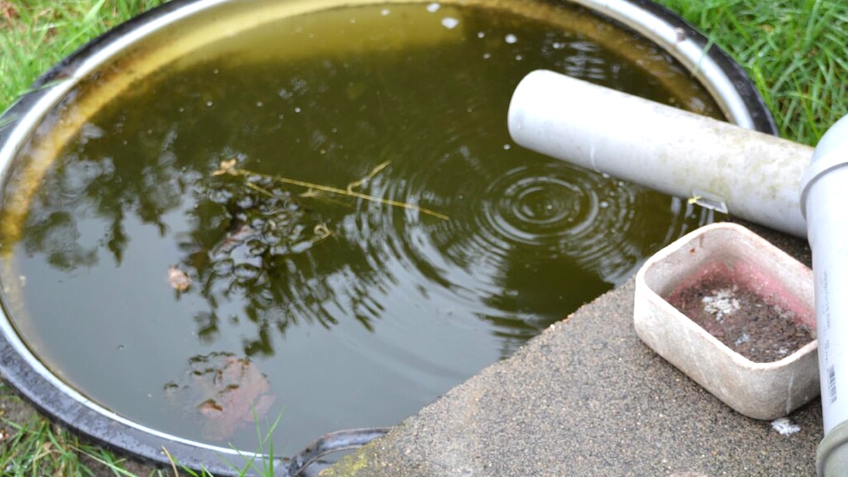 Cette obligation impose une couverture sécurisée sur tout récupérateur d’eau non utilisé immédiatement