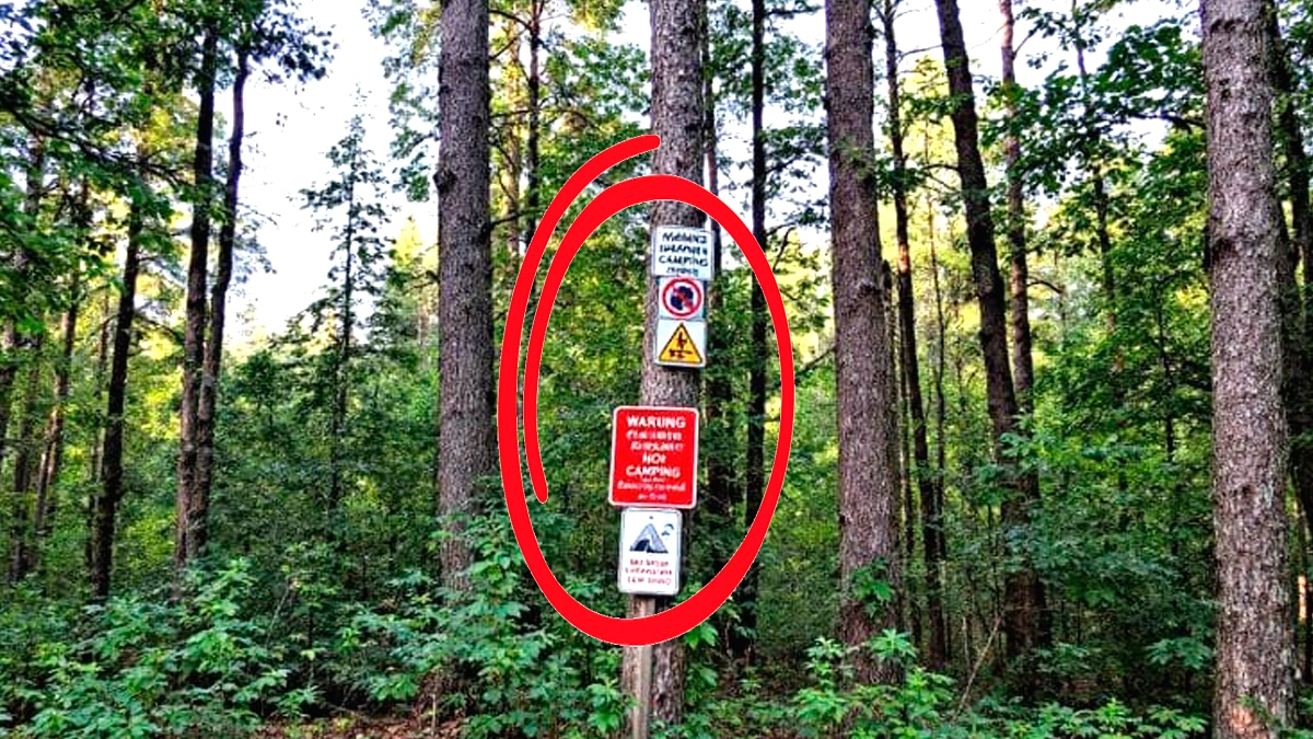 Des panneaux discrets préviennent des interdictions de bivouac dans certaines forêts “attention, les amendes pleuvent”