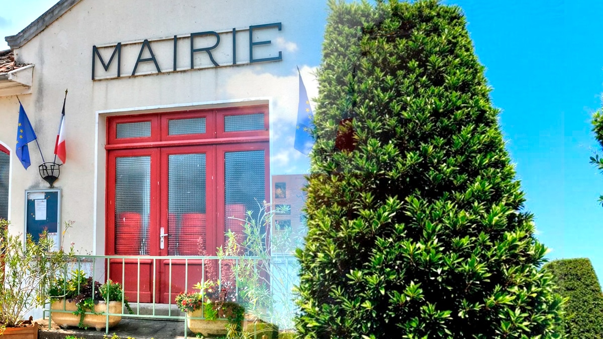 La mairie impose une taille stricte des haies à 1,20 m en bord de route “tout dépassement est sanctionné sans avertissement”
