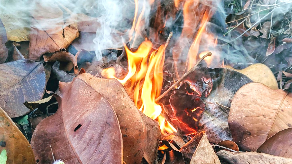 Le brûlage des feuilles mortes dans son jardin lui coûte 750 € d’amende “je croyais que c’était encore autorisé en zone rurale”