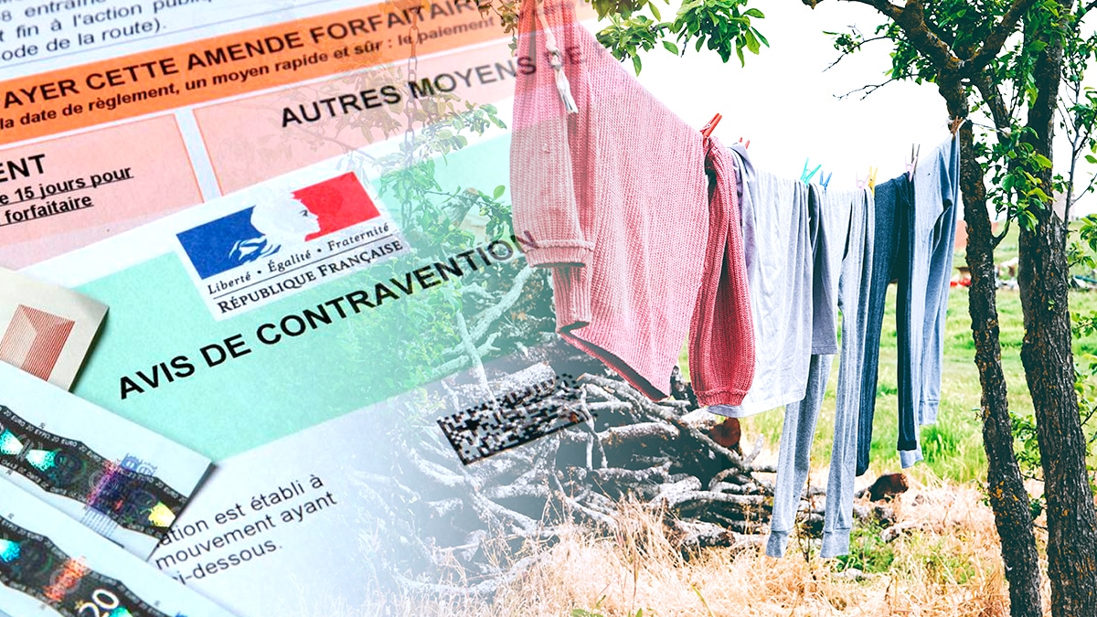 Des campeurs reçoivent une amende pour avoir suspendu du linge entre deux arbres “le site était classé en zone sensible”